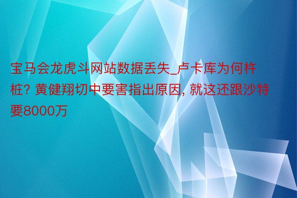 宝马会龙虎斗网站数据丢失_卢卡库为何杵桩? 黄健翔切中要害指出原因, 就这还跟沙特要8000万